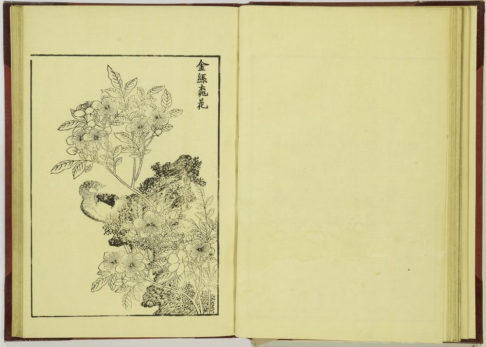 图片[22]-illustrated book; print BM-1915-0823-0.242-China Archive